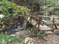 Roaring Run to 1st Bridge_00013.JPG
