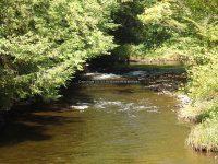 MAD RIVER ONEIDA COUNTY CENTRAL NEW YORK 9-1-2014_00009.JPG