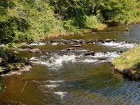 MAD RIVER ONEIDA COUNTY CENTRAL NEW YORK 9-1-2014_00002.JPG
