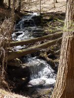 Chenango Waterfalls of Pharsalia 4-17-2016_00015.JPG