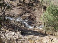 Chenango Perkins Pond Outlets falls on 4-17-2016_00002.JPG