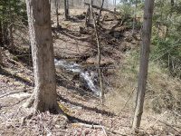 Chenango Perkins Pond Outlets falls on 4-17-2016_00003.JPG