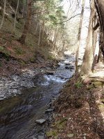 Chenango Bucks Brook Waterfalls on 4-17-2016_00004.JPG
