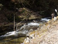 Chenango Bucks Brook Waterfalls on 4-17-2016_00006.JPG