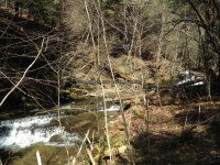 Chenango Bucks Brook Waterfalls on 4-17-2016_00009.JPG