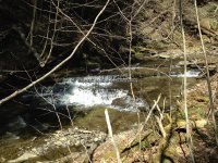 Chenango Bucks Brook Waterfalls on 4-17-2016_00011.JPG