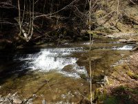 Chenango Bucks Brook Waterfalls on 4-17-2016_00012.JPG