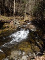 Chenango Bucks Brook Waterfalls on 4-17-2016_00014.JPG