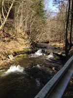 Chenango Bucks Brook Waterfalls on 4-17-2016_00015.JPG