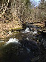 Chenango Bucks Brook Waterfalls on 4-17-2016_00016.JPG
