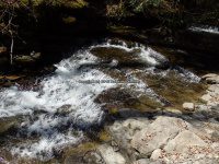 Chenango Bucks Brook Waterfalls on 4-17-2016_00022.JPG