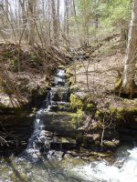 Chenango Bucks Brook Waterfalls on 4-17-2016_00023.JPG