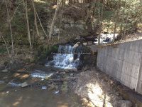Views from the bridge on Buckley Hollow Rd 4-17-2016_00003.JPG