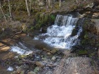 Views from the bridge on Buckley Hollow Rd 4-17-2016_00005.JPG