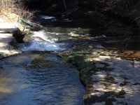 Views from the bridge on Buckley Hollow Rd 4-17-2016_00007.JPG