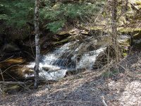 Views from the bridge on Buckley Hollow Rd 4-17-2016_00012.JPG