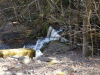 Views from the bridge on Buckley Hollow Rd 4-17-2016_00013.JPG