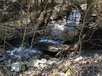 Views Walking up Buckley Hollow Rd 4-17-2016_00001.JPG