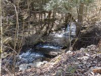 Views Walking up Buckley Hollow Rd 4-17-2016_00002.JPG