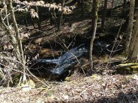 Views Walking up Buckley Hollow Rd 4-17-2016_00003.JPG