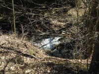 Views Walking up Buckley Hollow Rd 4-17-2016_00004.JPG