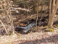 Views Walking up Buckley Hollow Rd 4-17-2016_00005.JPG