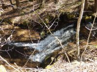 Views Walking up Buckley Hollow Rd 4-17-2016_00006.JPG