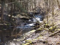 Views Walking up Buckley Hollow Rd 4-17-2016_00007.JPG
