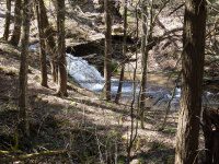 Views from the Finger Lakes Trail 4-17-2016_00003.JPG