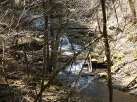 Views from the Finger Lakes Trail 4-17-2016_00004.JPG