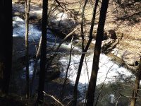 Views from the Finger Lakes Trail 4-17-2016_00005.JPG