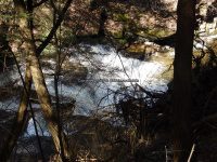 Views from the Finger Lakes Trail 4-17-2016_00011.JPG