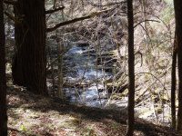 Views from the Finger Lakes Trail 4-17-2016_00017.JPG