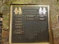 Herkimer Big Moose Community Chapel 6-27-2016_00004.JPG