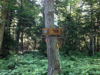 Herkimer West Pond Outlet, Waterfall 6-27-2016_00004.JPG