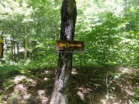 Herkimer Kettle Hole Falls 6-25-2016_00017.JPG