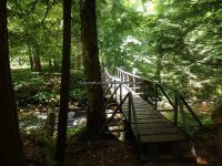 Herkimer Moshier Falls Lower Section 6-28-2016_00005.JPG