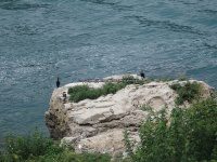 Niagara Falls, Cave of the Winds 8-15-2016_00002.JPG
