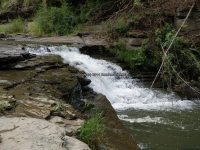 CANASERGA LOWER FALLS LIVINGSTON COUNTY WESTERN NEW YORK 8-11-2013_00003.JPG