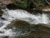 CANASERGA LOWER FALLS LIVINGSTON COUNTY WESTERN NEW YORK 8-11-2013_00004.JPG