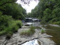 CANASERGA UPPER FALLS LIVINGSTON COUNTY WESTERN NEW YORK 8-11-2013_00009.JPG
